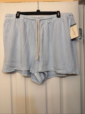 Universal Thread Pale Blue Terry Athletic Shorts